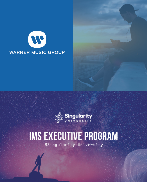 IMS Group - Executive Program