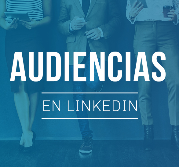 Audiencias en LinkedIn